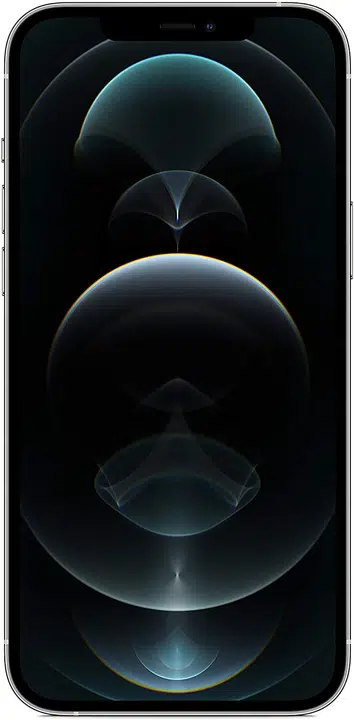 iPhone 12 Pro Max 256 Go - Argent - Débloqué