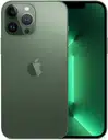 iPhone 13 Pro Max 256 GB - Alpen Gréng - Ongeschloss – Foto 2 vun 5